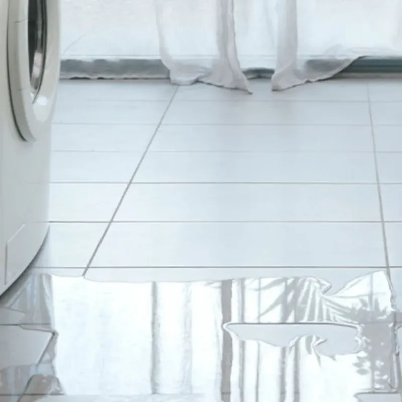 Appliance Leak Cleanup in Port Sulphur, LA