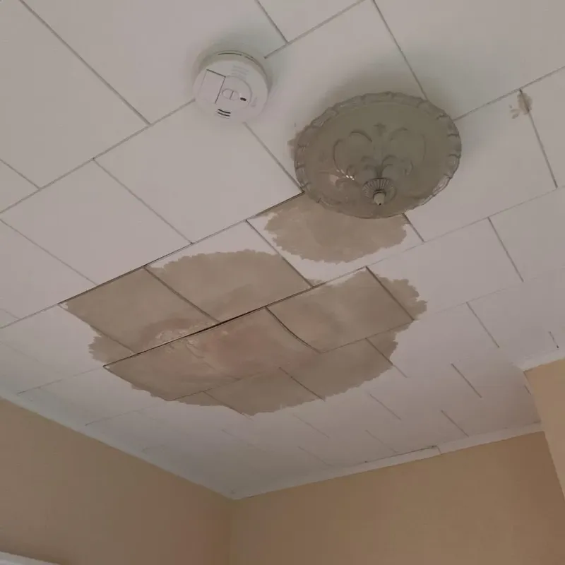 Ceiling Water Damage Repair in Port Sulphur, LA